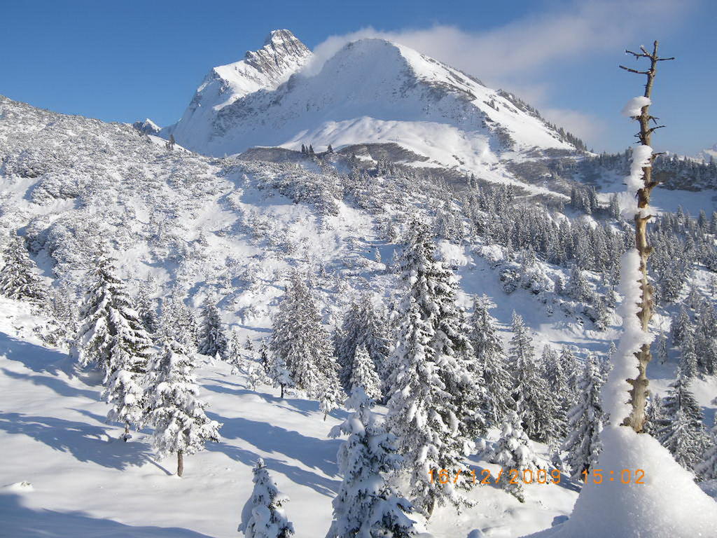 Haus Brunneck Appartement Warth  Buitenkant foto